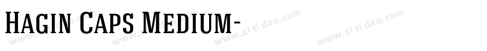 Hagin Caps Medium字体转换